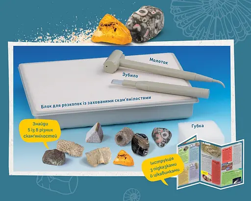 Розкопки скам'янілостей Kosmos - Набір для дослідження - фото 4