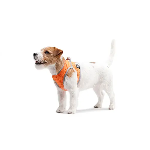 Шлей мягкий AiryVest ONE размер S2 оранжевый - фото 4