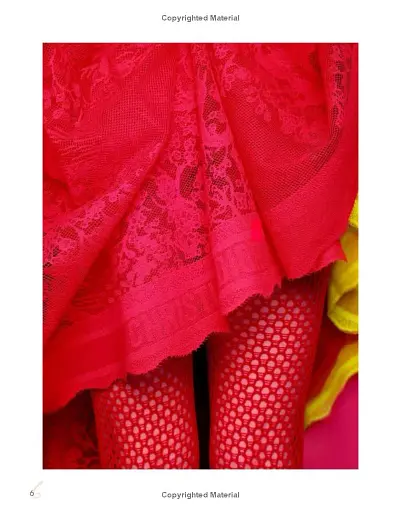 The Red Book: Fashion, Styles & Stories - фото 4