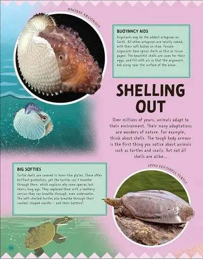 Odd Animals Out - фото 4