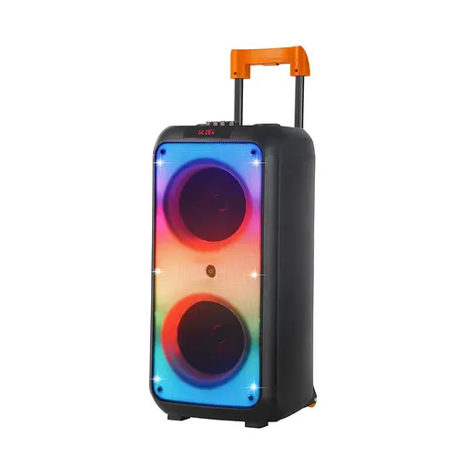 Портативная беспроводная колонка NDR-1095 8 дюймов 6000Вт