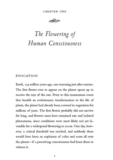 A New Earth - фото 8