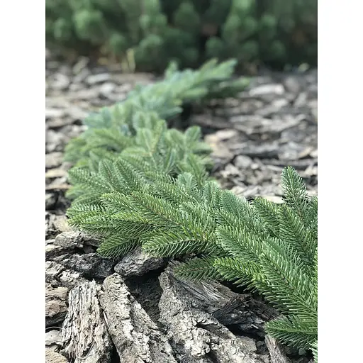 Гірлянда хвойна Hvoya Classic лита світло-зелена 2 м