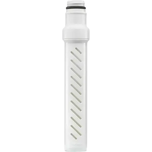 Фильтр для воды сменный LifeStraw Go Replacement 2-Stage Replacement Filter (1033-LSW LGV4WH2TWW)