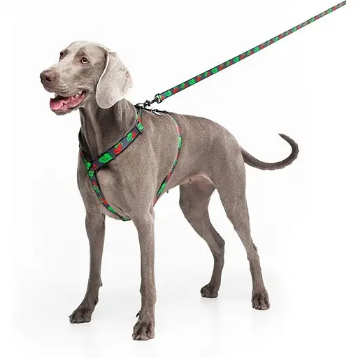 Повідець для собак Waudog Nylon нейлоновий, малюнок "Калина", розмір L-ХХL - фото 4