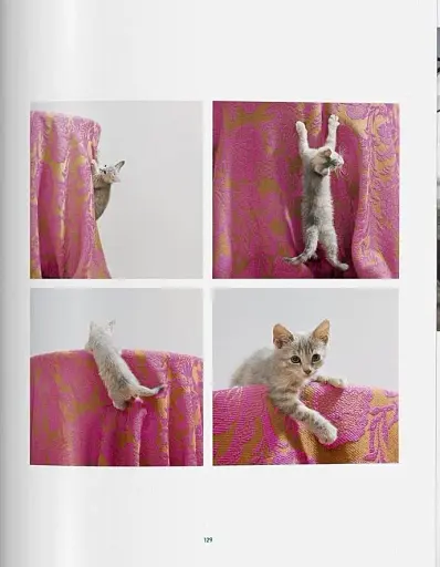 Walter Chandoha. Cats. Photographs 1942-2018 - фото 8