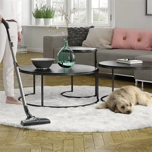 Пылесос Electrolux ESPC71DB - фото 4