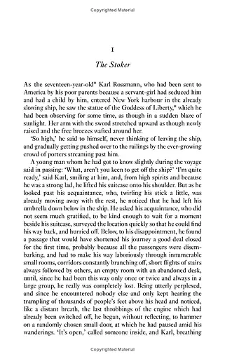 The Man Who Disappeared (America) - фото 8