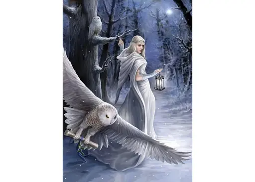 Пазл Art Puzzle Полуночный посланник 1000 эл. (5229) - фото 2