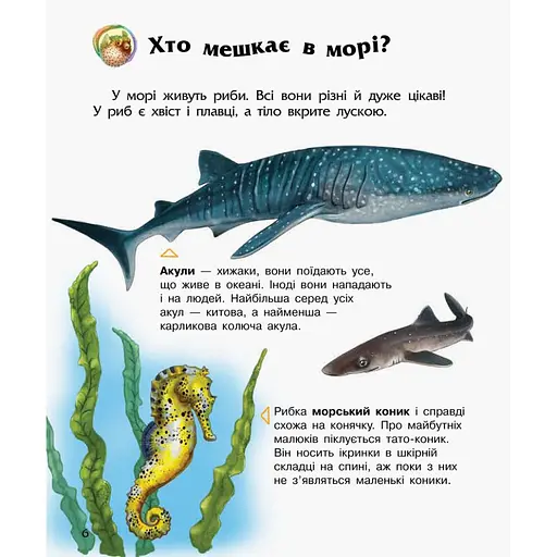 Енциклопедія дошкільника Океани та моря Ранок 614055 для найменших - фото 2