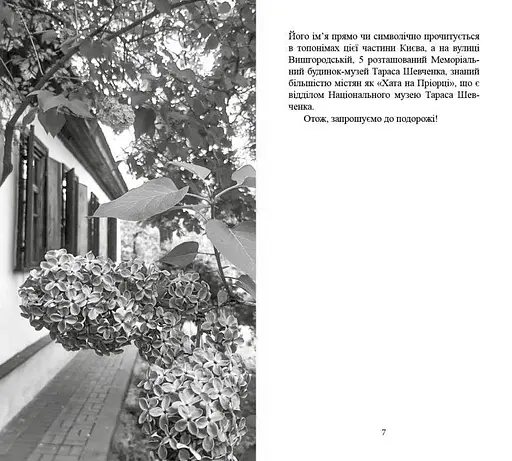 Куренівка. Пріорка. Простір Тараса Шевченка - фото 4