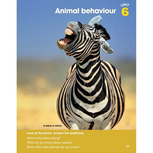 Look 3. Student’s Book - фото 4