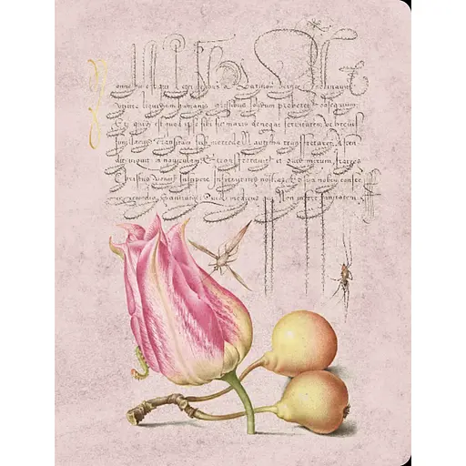 Скетчбук для рисования Mira "Тюльпан и груши"