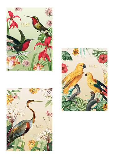 Комплект 3 шт общих тетрадей. Тетрадь Школярик А4 40 л. в линию 548 4823088205312 - фото 1