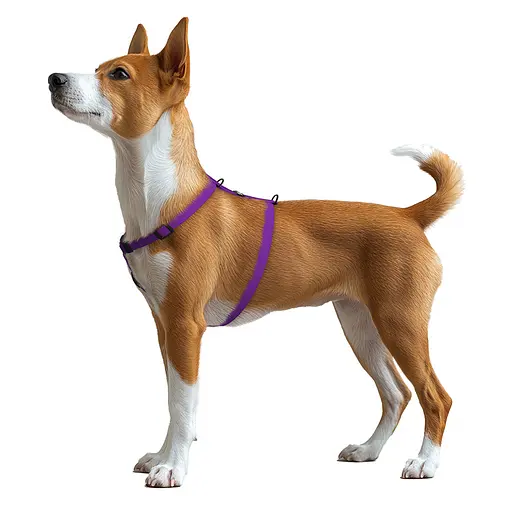 Шлея для собак водостійка анатомічна Н-подібна Waudog Magnet з QR-паспортом магнітна пряжка-фастекс S Ш 15 мм А 28-42 см В - фото 6