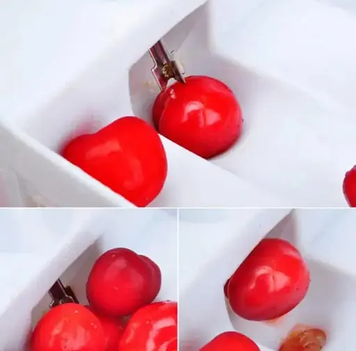 Вишнечистка Empire EM-2144 машинка для удаления косточек из вишни черешни алычи - фото 4