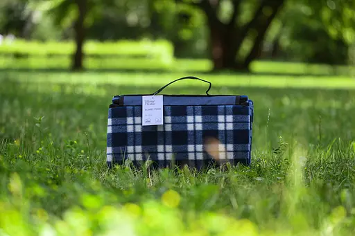 Плед Ardesto Picnic 130х170 см 100% полиэстер клетка синий (ART0916BC) - фото 3