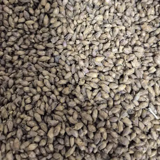 100 г смородина чорна бруньки сушені, свіжий урожай