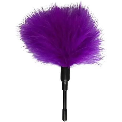 Перо Easy Toys Feather Tickler фіолетовий