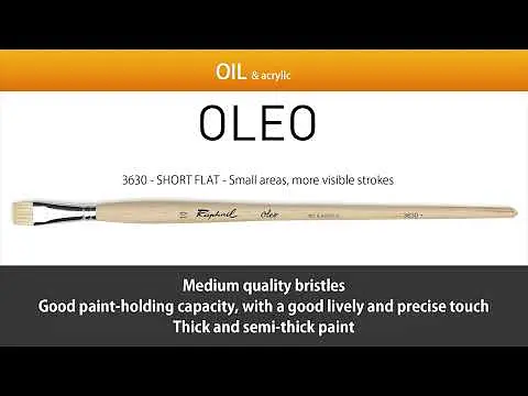 Кисть щетина плоская Raphael Oleo, №14, короткая ручка - фото 3