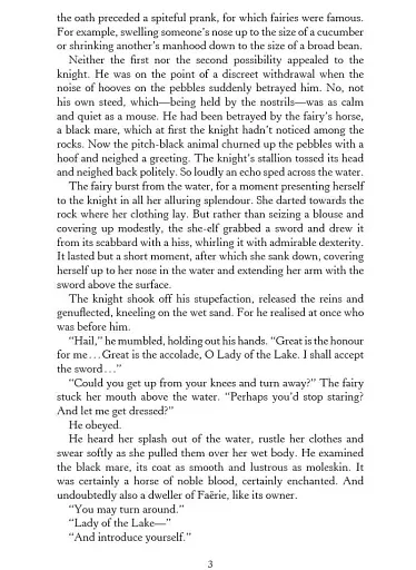 The Lady of the Lake. The Witcher Book 5 - фото 4