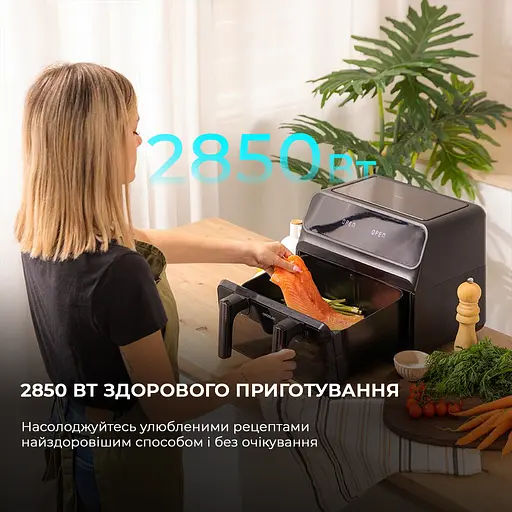 Мультипечь (аэрогриль-фритюрница) CECOTEC Cecofry Advance 9000 Window - фото 7