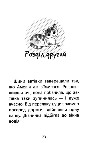 Історії порятунку. Книга 1. Котик-безхатько - фото 2