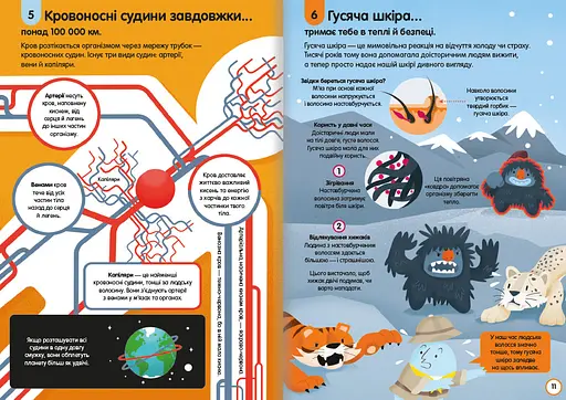 100 фактів про людське тіло. Автор Алекс Фріт, Мінна Лейсі, Джонатан Мелмот і Меттью Олдгем - фото 5