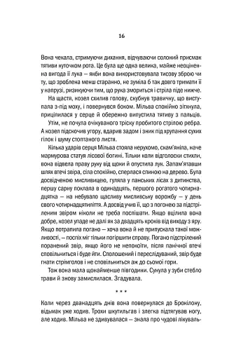 Відьмак. Хрещення вогнем. Книга 5 - фото 14