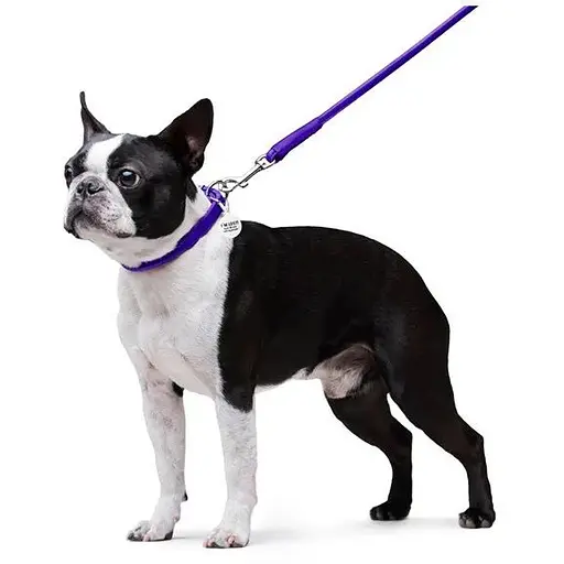 Повідець для собак Waudog Glamour шкіряний круглий, фіолетовий - фото 5