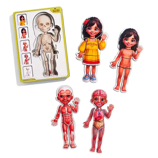 Деревяний пазл-вкладиш Анатомія людини - дівчинка-2 (ПСД263) PSD263 будова тіла