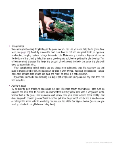 The Return of the Naked Chef - фото 11