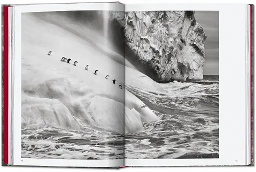 Sebastiao Salgado. Genesis. 45th Edition - фото 6