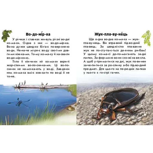 Читаю про Україну по складах "Тварини річок та морів" Ранок 366024 з кольоровими ілюстраціями - фото 3