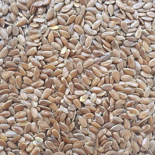 100 г льон насіння сушене - свіжий урожай