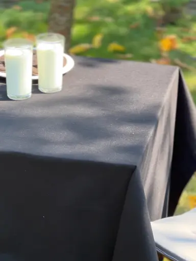 Водовідштовхувальна скатертина Чорний однотон 200х100 см (+ 8 серветок 30х40)