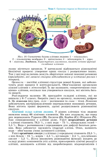 Біологія 8 клас - фото 5