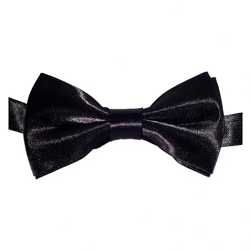 Краватка-метелик маленький - фото 1