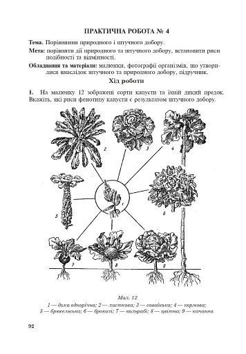 Біологія. Робочий зошит. Академічний рівень. 11 клас - фото 8