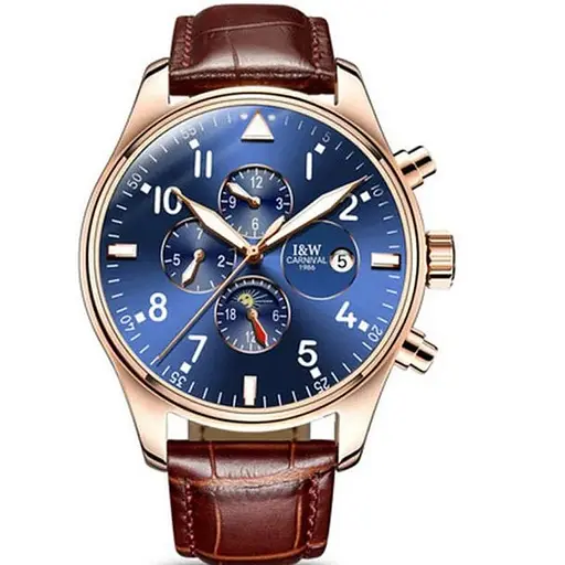 Наручний годинник чоловічий Carnival Grand Brown Золотий (1234)