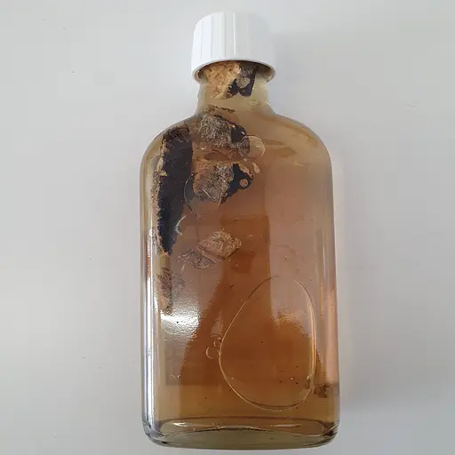 Настоянка на корінні ферули джунгарської оміка 200 мл - фото 2