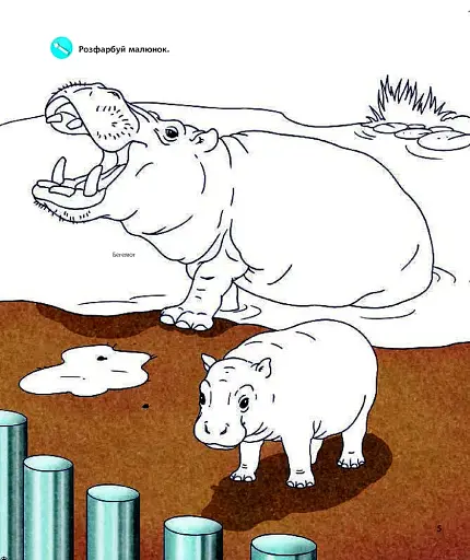 Чому? Чого? Навіщо? У зоопарку. Інтерактивна книжка - фото 5