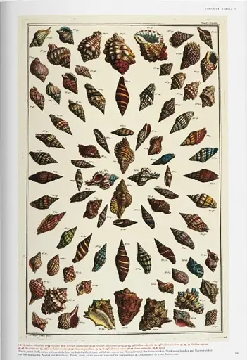 Seba. Cabinet of Natural Curiosities - фото 8