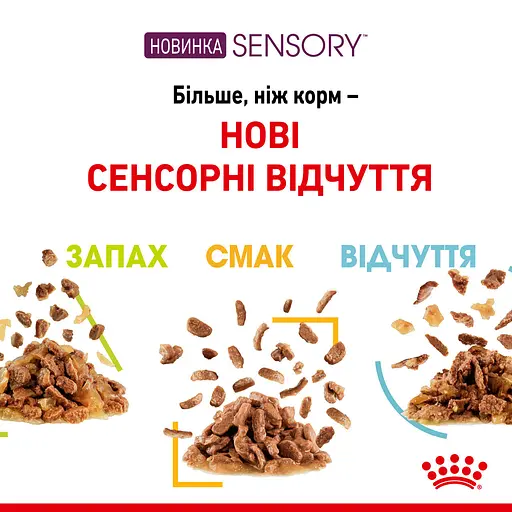 Влажный корм для взрослых кошек Royal Canin Sensory Smell Jellyкусочки в желе 1.02 кг (12 шт. х 85 г) - фото 5
