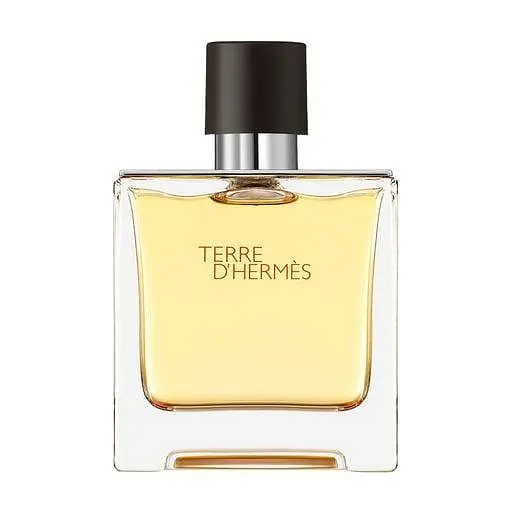 Туалетная вода мужская Hermes Terre d'Hermes Парфюм для мужчин 100 мл - фото 1