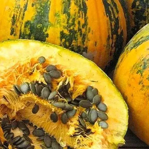 Гарбуз Весна Голонасінний (у банці) 100г (52435) - фото 1