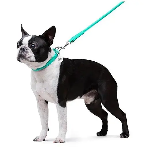 Повідець для собак Waudog Glamour шкіряний круглий, ментоловий - фото 5