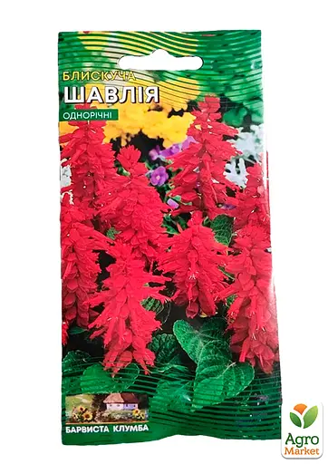 Сальвия блестящая Весна 0.1г (13069) - фото 2