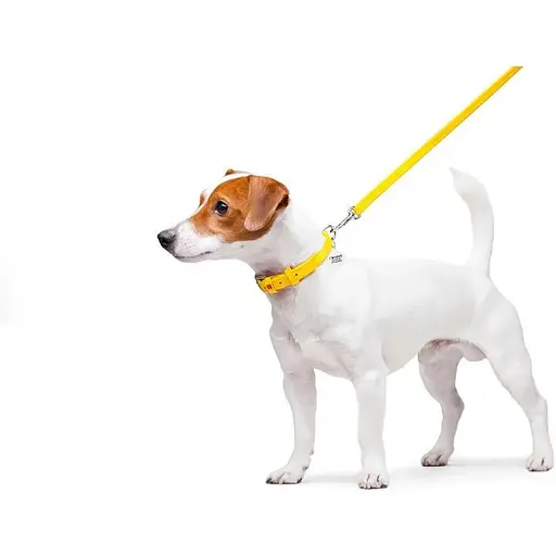 Повідець для собак Waudog Glamour шкіряний, жовтий - фото 3