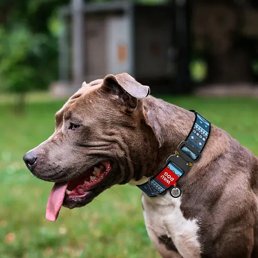 Нашийник для собак нейлоновий Waudog Nylon з QR-паспортом "Етно синій" металева пряжка-фастекс XXL Ш 35 мм Д 46-70 см - фото 3